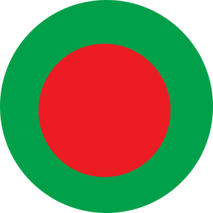 international flag of Bahrain