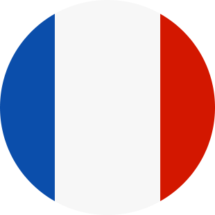 international flag of France