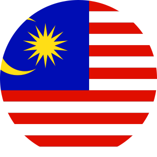 international flag of Malaysia