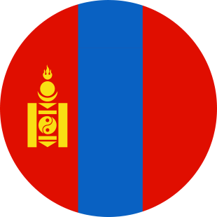 international flag of Mongolia