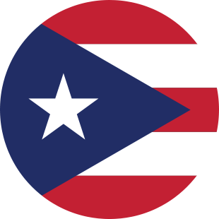 international flag of Puerto Rico