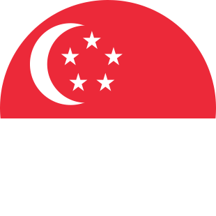 international flag of Singapore