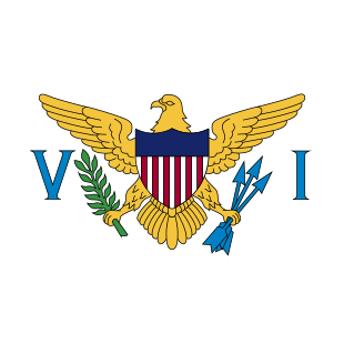 international flag of U.S. Virgin Islands
