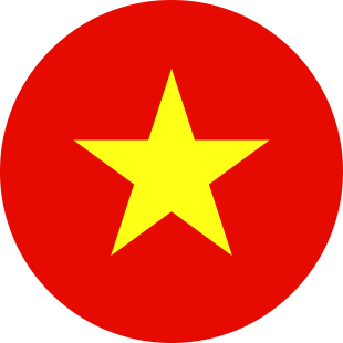 international flag of Vietnam
